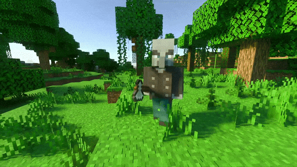 Coptaine's Animation