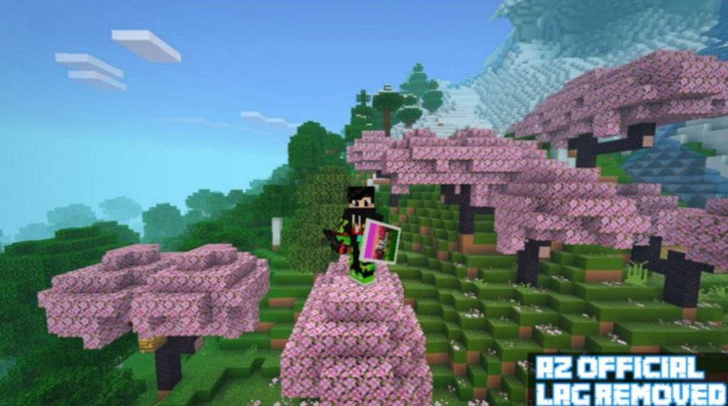 FPS Booster PVP Pack