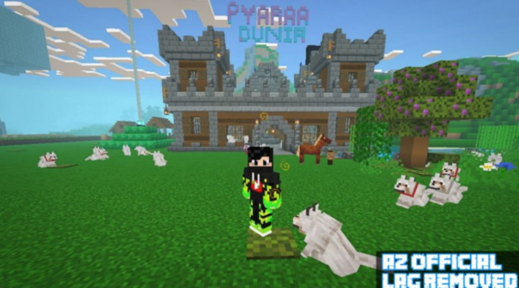 FPS Booster PVP Pack