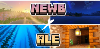 Newb X Ale Shaders