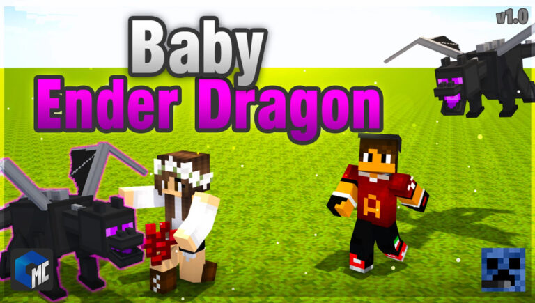 Baby Ender Dragon | Minecraft Addon PE