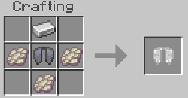 Raiyon's Iron Elytras