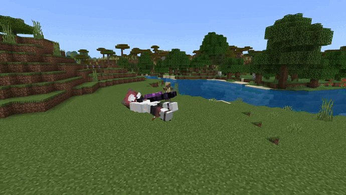 Raiyon's Ender Elytras