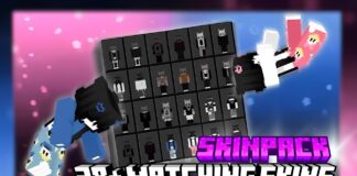 28+Matching Skins Skinpack