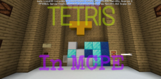 TETRIS Minigame Map