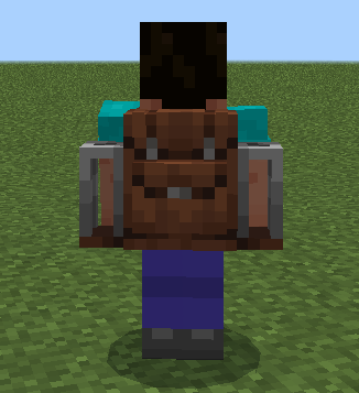 Traveler's Backpack
