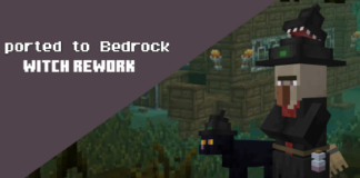 Witch Rework MCPE