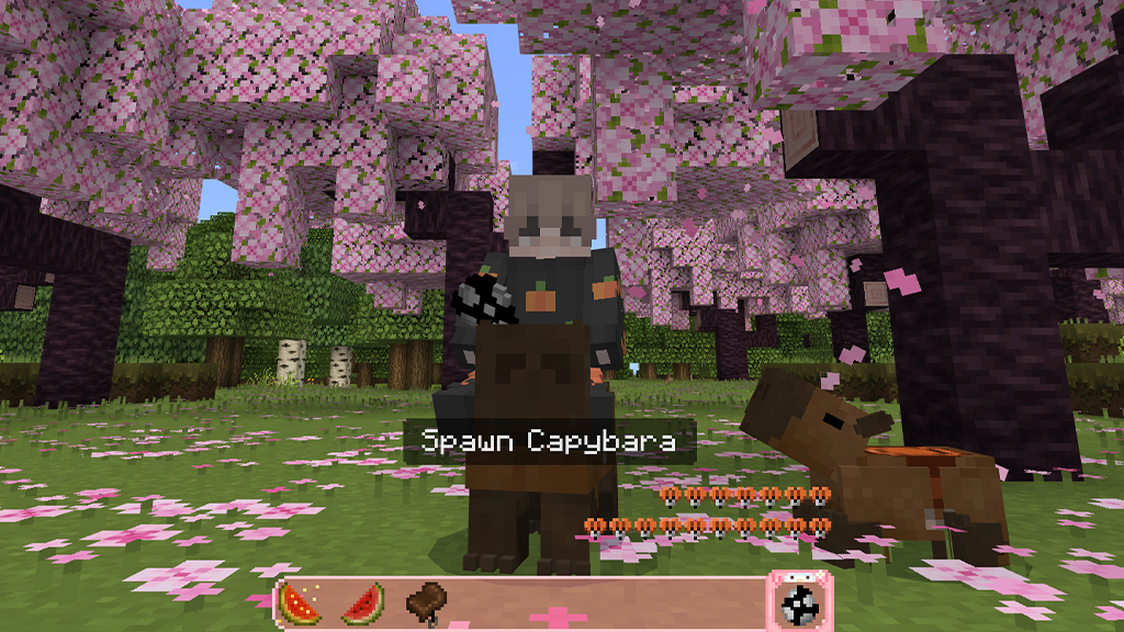 Capy bara
