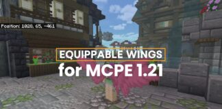 Equippable Wings