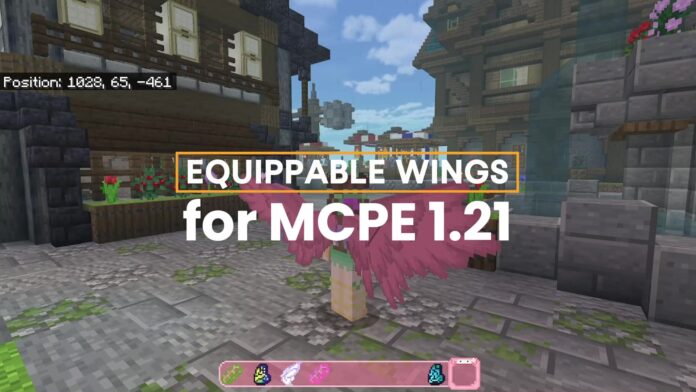 Equippable Wings