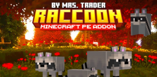Raccoon's Addon