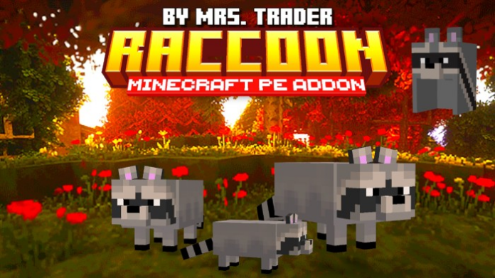 Raccoon's Addon Raccoon's Addon