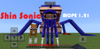 Shin Sonic Addon