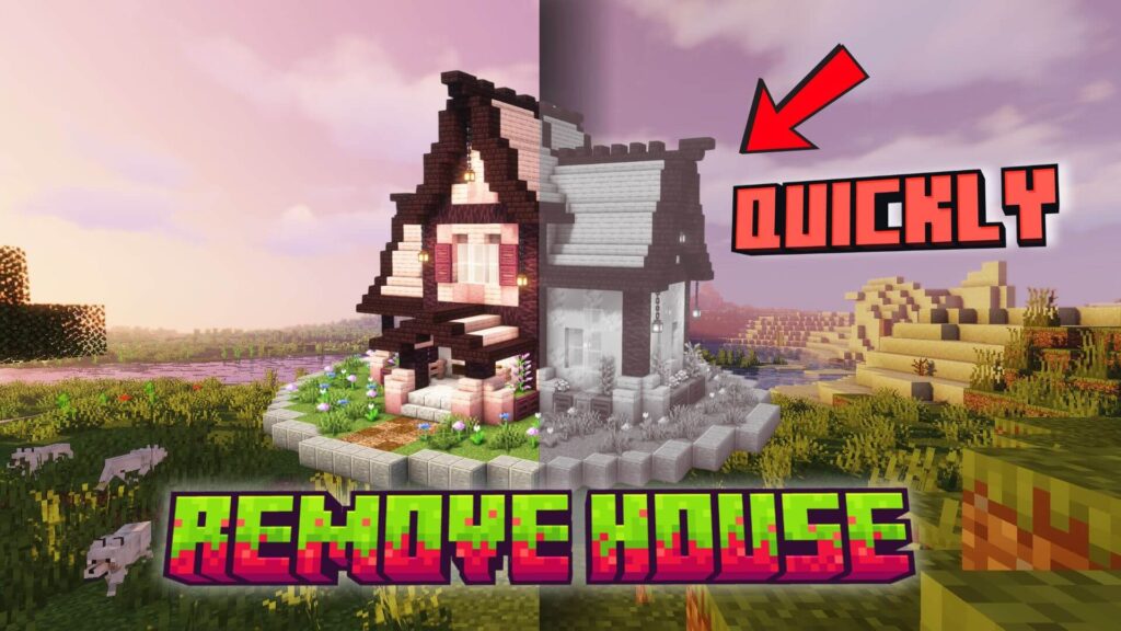 remove minecraft schematics
