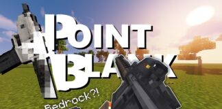 Vic's Point Blank