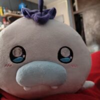 IMG_20250815_071945