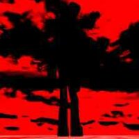 JPEG_20250814_111101_4524666984958816777