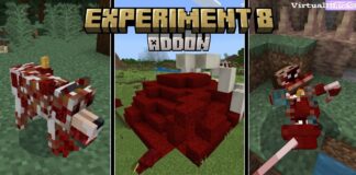 experiment 8