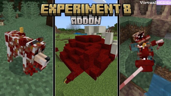 experiment 8