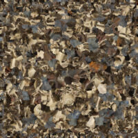 A_skeleton_with_ragge_0427122238_texture-1