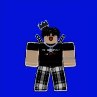 Screenshot_20260116_151717_Roblox