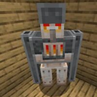 1000013173