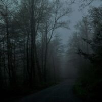 Dark